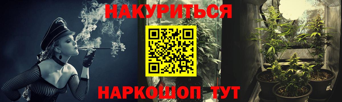 Вязьма  Каннабис семена  Вход с VPN  Конопля Bruce Banner 
